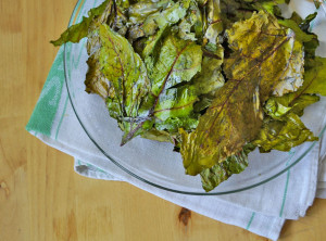 chipsyzliscibotwinki